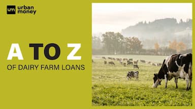 All About Dairy Farm Loan: Online Procedure