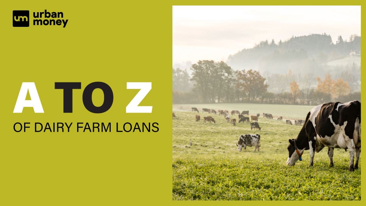 Dairy Fam Loan: Boost Your Dairy Farming Operations